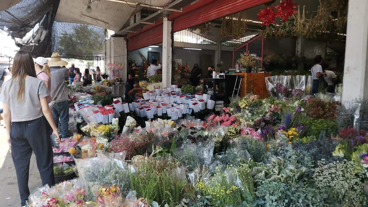 Flores de 10 de mayo